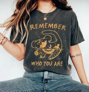 The Lion King Simba Remember Who You Are Hakuna Matata Poster T-Shirt, Epcot Family Vacation Matching Tee shirt