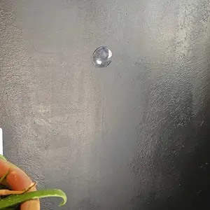 Self-adhesive Door Stop Wall Protector, 6 Counts Shock-absorbing & Noise-reducing Door Stopper, Reusable Door Hardware for Home & Office