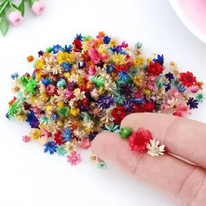 Mini DIY Pressed Flower Kit with Multicolor Dried Petals for Epoxy Resin Filling Candle Making Aromatherapy Decor Jewelry Crafting Resin Art Supplies Creative Materials Home Party Decoration Gift Box Handmade Craft Floral Arrangement Accessories