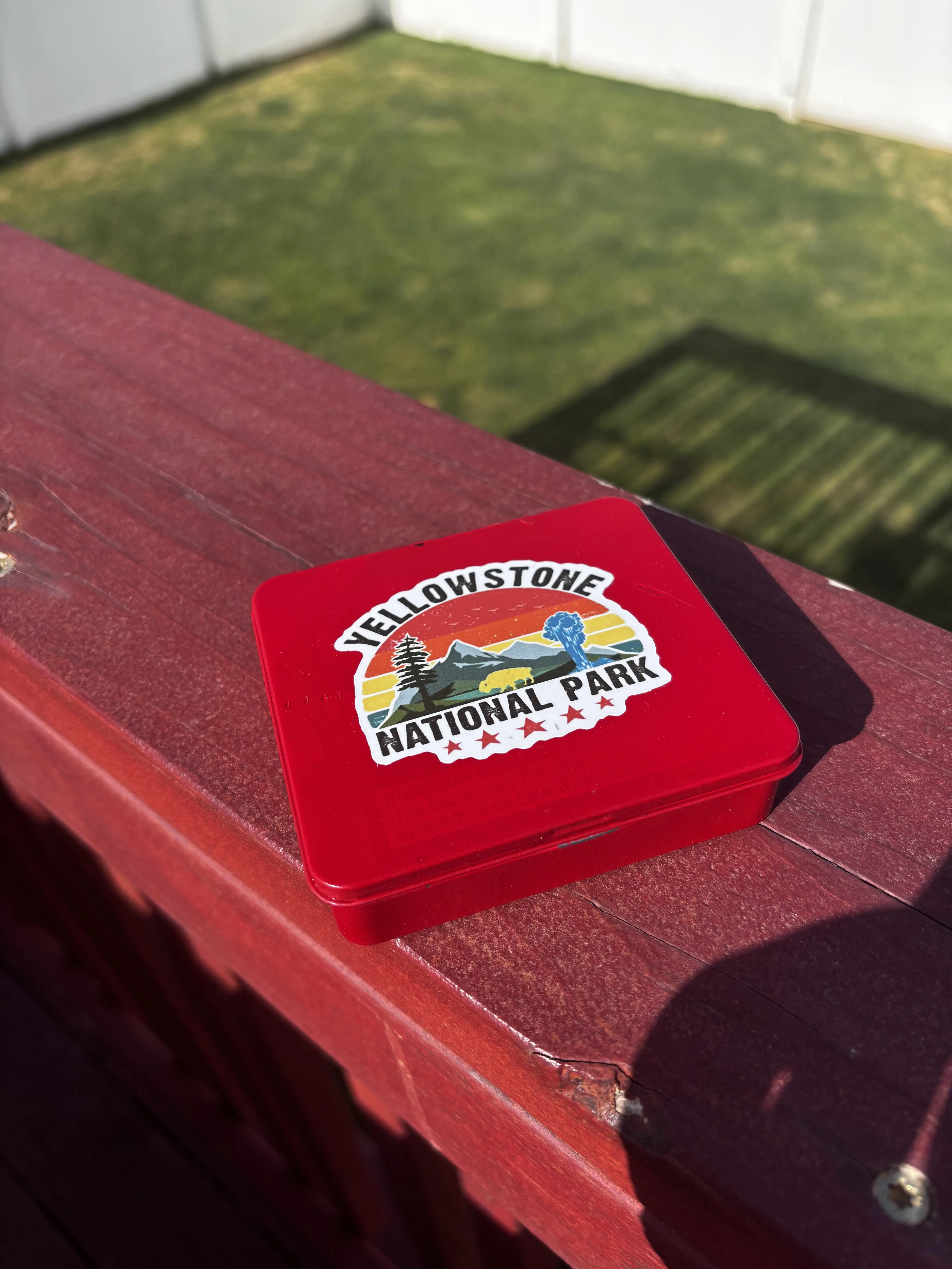 Fly Box (with flies)
