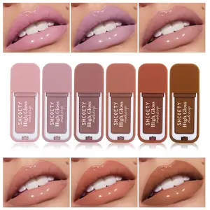 Mirror Shine Lip Gloss, Hydrating, Moisturizing & Protective, High Pigmentation, Multiple Colors Available, Daily Makeup Essential