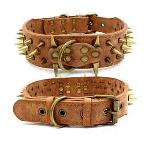 Bad Kitty Leather Collar