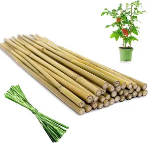 [32 Pcs] Garden Stakes, 18 Inches    Stakes,  Support Stakes with Twist Ties,  Sticks for Tomatoes, Beans, , Potted , Indoor and Outdoor Climbing