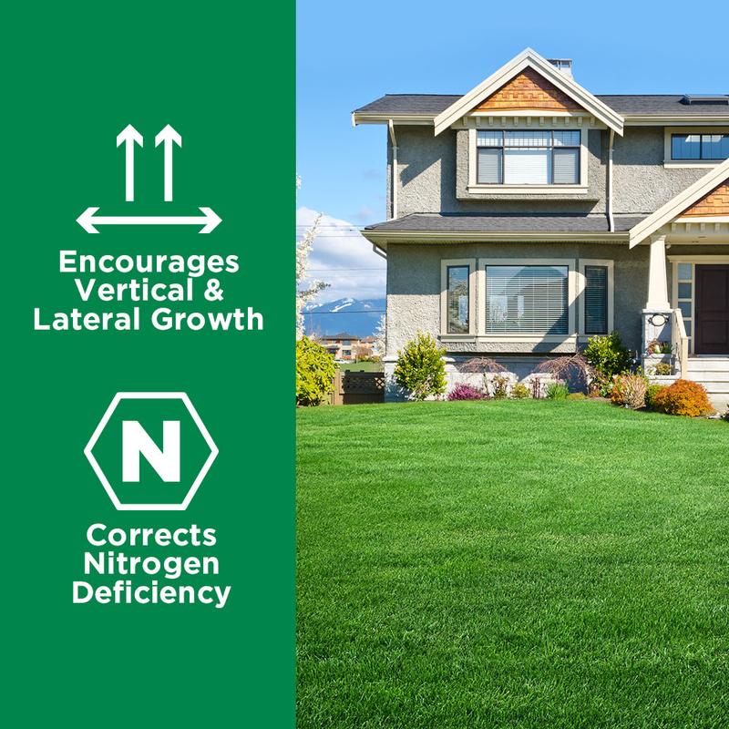 Lawn Food: 28-0-0 High Nitrogen (32 ounce)