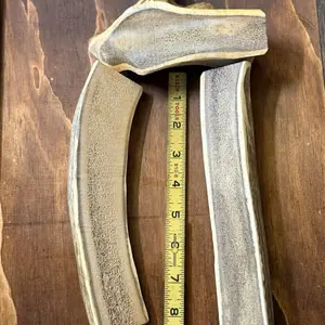 MEDIUM Hickory Smoked Antler Chews for Dogs - Split Elk Antlers, Suitable for All Breeds & Sizes, Natural Chewing Material, Natural Ingredients