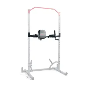 Sunny Adjustable Multi-Function Dip Station