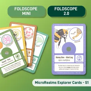 MicroRealms Explorer Cards - Series 1.