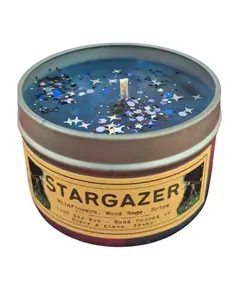 Stargazer Candle - Sky Stitcher Theme Ambience 4 oz Soy Wax Tin with Dark Blue Base & Shining Stars Cozy Autumn Vibes Wildflowers Wood Sage Spices Non Toxic Fragrance Oils