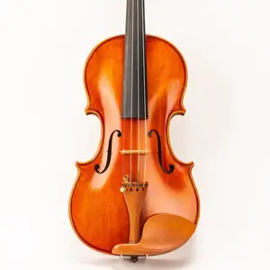 D Z Strad Violin - Left Handed Model 301 - Violin Outfit with Open and Clear Sound