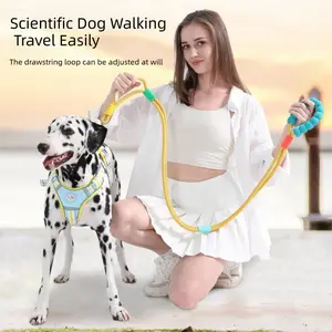 New Pet Dog Supplies Wholesale Leash Non-Choking Anti-Slip Explosion-Proof Anti-Escape Dog-Specific Adjustable Drawstring Loop Travel Easy wlw  harness Reflective Service Harness Breathable Set