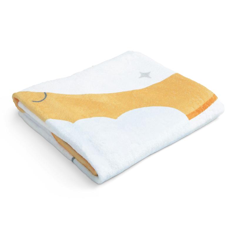 Milestone Baby Blanket