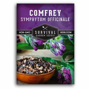 Comfrey Seeds - Slippery Root