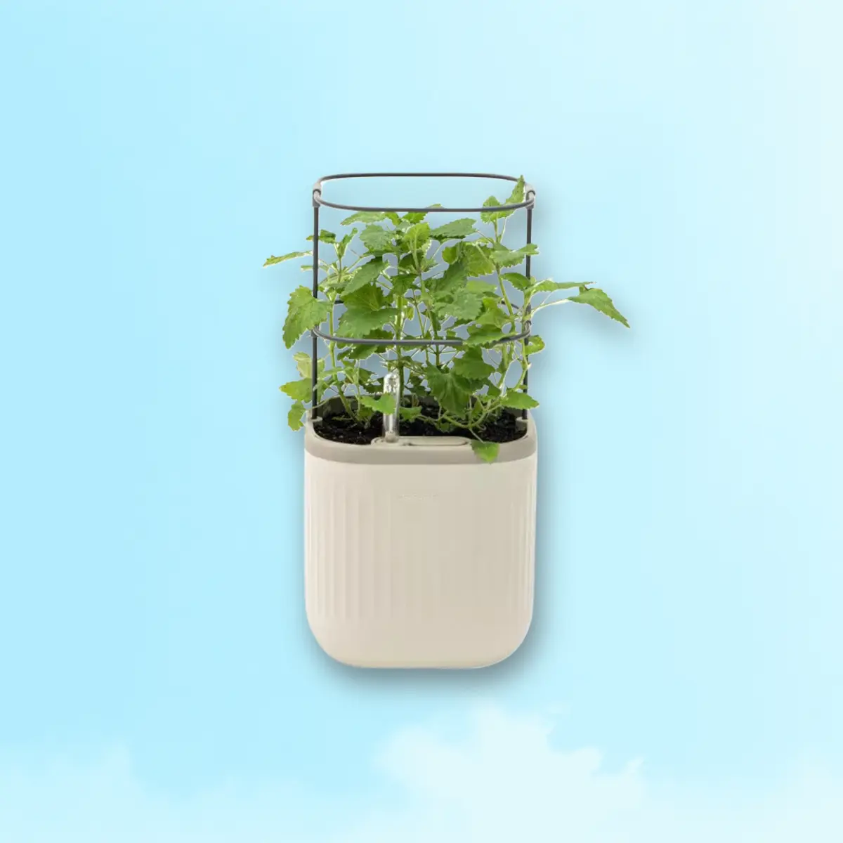 Vego Garden Self-Watering Planter Cream - Indoor Outdoor, with Trellis, 7.75x7.75x14.75