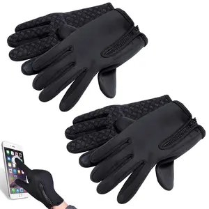 Dazone 2Pairs Winter Gloves, Touch Screen Water Resistant Windproof Thermal Mittens for Men Women