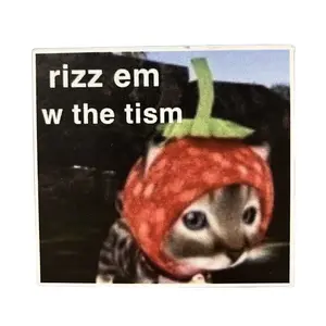 Rizz Em With The Tizm Wall Magnet - Vinyl Decor