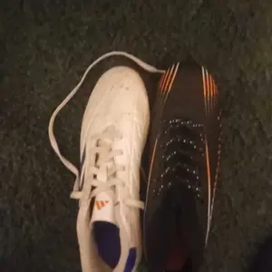 review image 4
