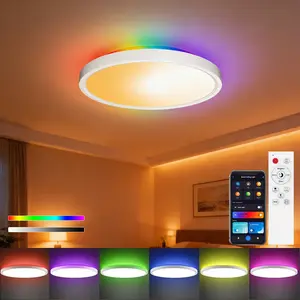 Smart Graffiti LED Ceiling Light, LED Mood Light, RGB//warm Light Options, APP Control, Dimmable, Suitable for Bedroom, Living Room, Balcony, Study, Home Cinema