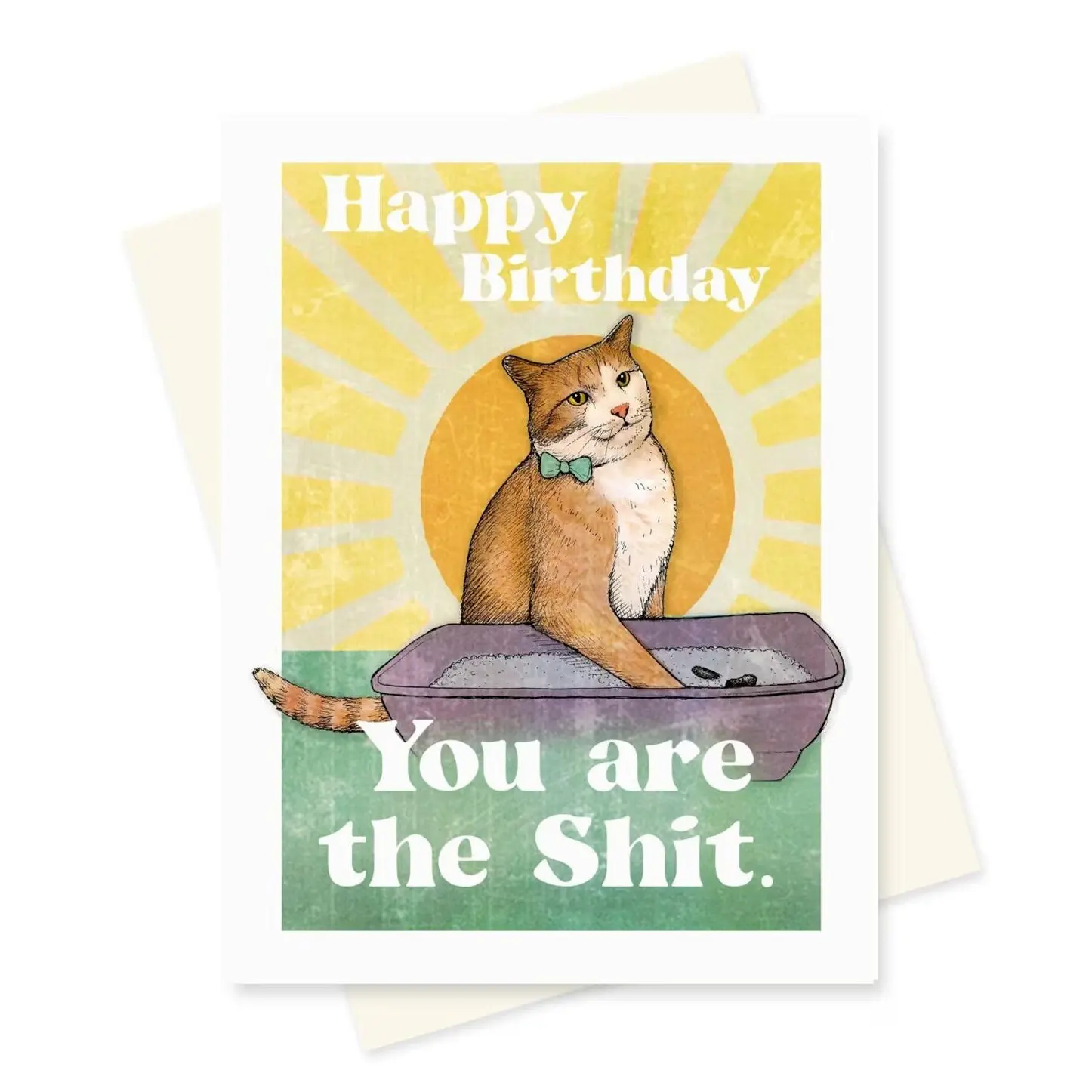 Funny Cat Birthday Card. Happy Birthday You Are the Shit. Cat Boyfriend _ Girlfriend Birthday Card. Cat Lovers, Cat Mom, Cat Dad. Orange Cat