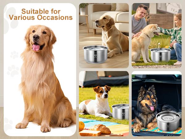 MORIKEY No Spill Dog Water Bowl 4.5L Large Capacity Slow Drinking Pet Bowl with Floating Disk Stainless Steel Easy Clean