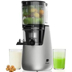 B11 Cold Press Juicer, 6" Extra Wide Feed Chute Slow Masticating Juicer Machine, Powerful AC Brushless Motor, Self Precut System, Easy to Clean, BPA-Free, Extra one Replace juicer strainer