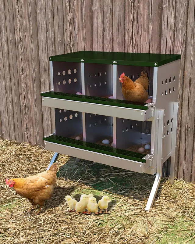 Galvanized Steel 6-Compartment Hen-Friendly Green Chicken Laying Nesting Box with Legs, Roll-Away Design, Auto-Egg Collect, Water Rinse, Plastic Eggs, 9.84"d x 9.06"w x 8.46"h, Ideal for Father's Day Gifts, Auto-Eggcollect