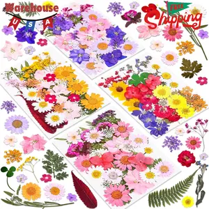 140 Pcs Dried Pressed Flowers for Resin, Real Pressed Flowers