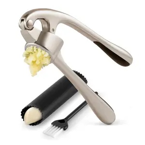 LushAMZ Kitchen Garlic Press Tools and Kitchen essential Garlic Mincer