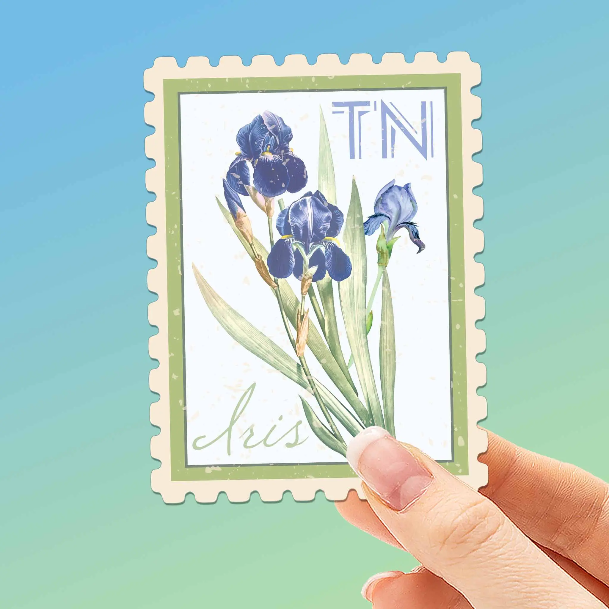Tennessee State Flower Iris Sticker - TN Vintage Stamp Decal