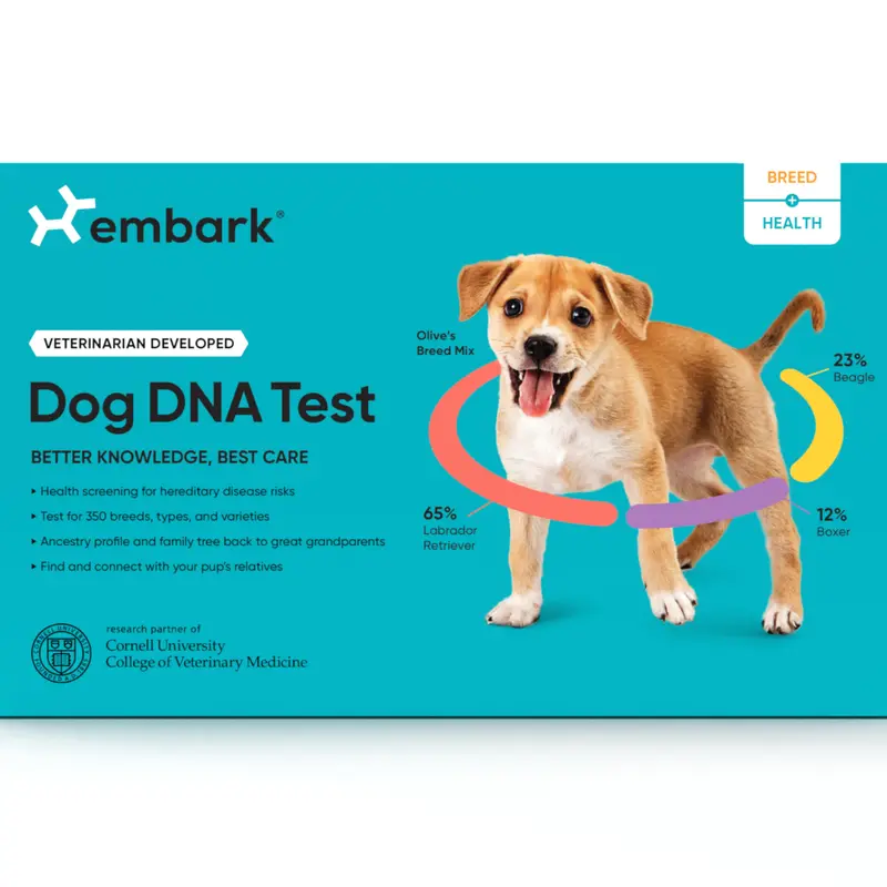 Breed + Health Dog DNA Test