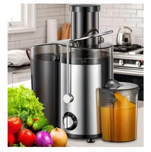 Electric Juicer Machine with 2-Speed Settings, Stainless Steel Centrifugal Juice Extractor for Fruits and Vegetables