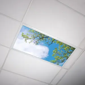 Fluorescent Light Cover for Classroom Ceiling  -  Backlit Film Insert 2x4 (22.38"x46.5") Florescent Fixture (Pack of 1) School, Office, Sensory, Improve Focus, Eliminate Headaches - Tree