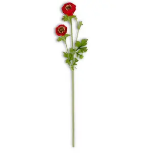 Red Ranunculus Spray