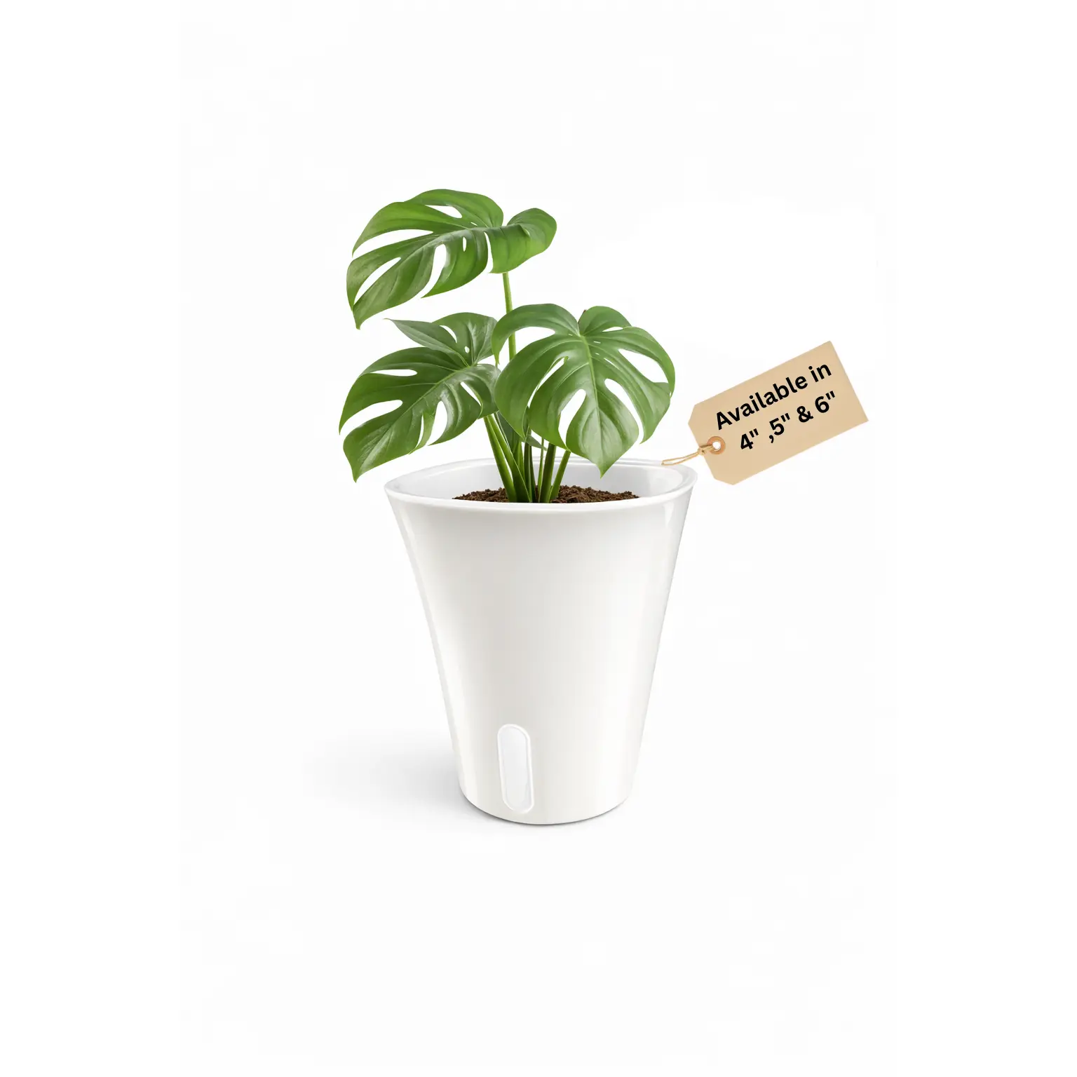 Self-Watering Pots with Clear Insert— 5-Pack
