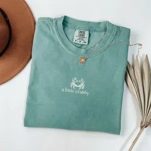A Little Crabby Shirt | Comfort Colors Light Green Tee | Aesthetic Minimalist Beach Graphic Shirt | Funny Summer Vacation Gift Apparel