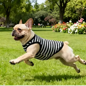 Premium Striped French Bulldog Vest Shirt, Soft Small Medium Dog Clothing, Elastic Fabric, Easy to Wear, Windproof, Outfits