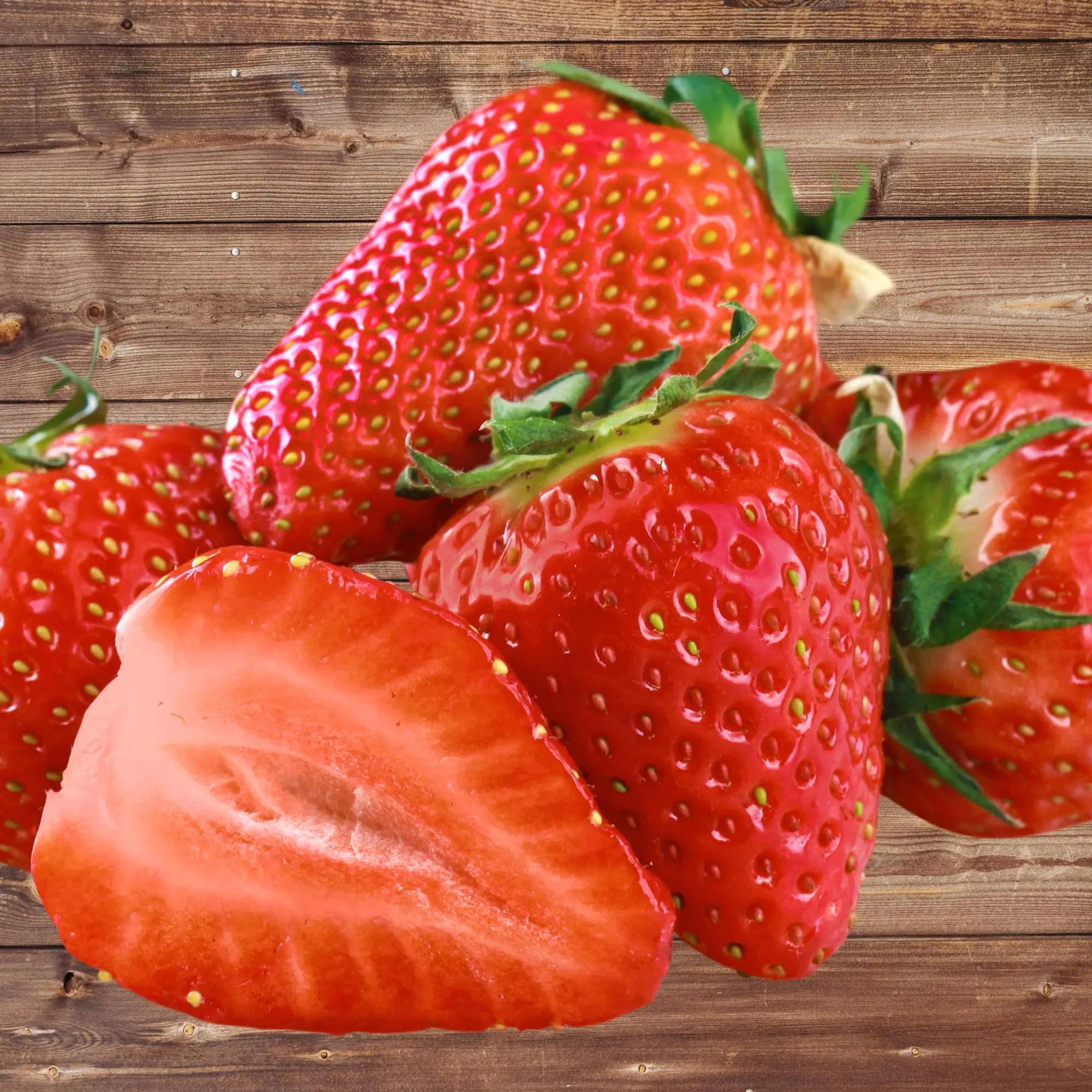 Seascape Everbearing Strawberry Plants | Live Bare Root | High-Yield Sweet Variety | Non-GMO | Hand Picked Nursery