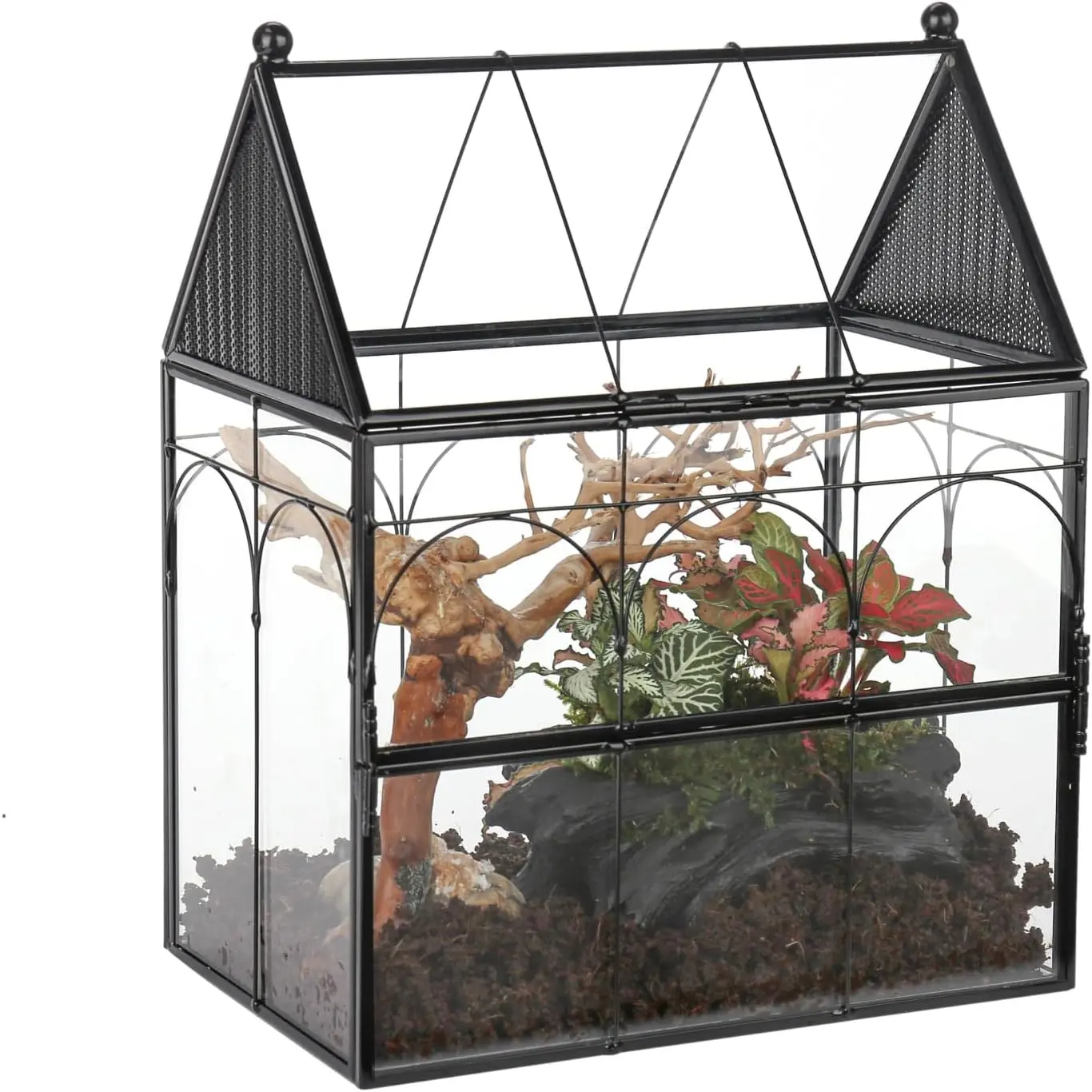 Vented Glass Terrarium for Jumping Spiders & Praying Mantis - House-Shape, Front Opening Door, Vent Holes, Home Decor, Coffee Table, Balcony, Office, Window Decor, Black (Terrarium Only)