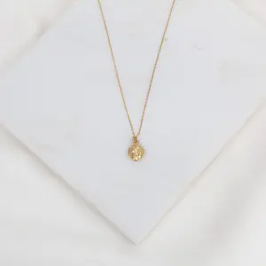 St. Francis Necklace