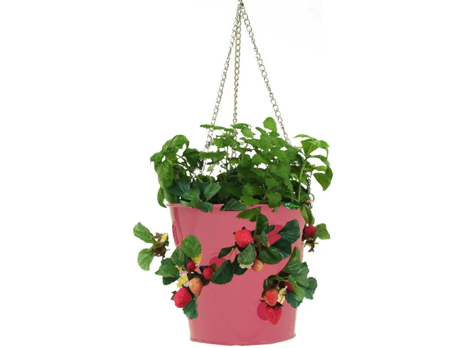 Enamel Finish Galvanized Steel Hanging Planter - Hot Pink for Strawberries, Herbs, Florals
