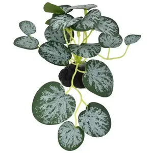Komodo String Of Hearts Reptile Decor Plants 3.5 in