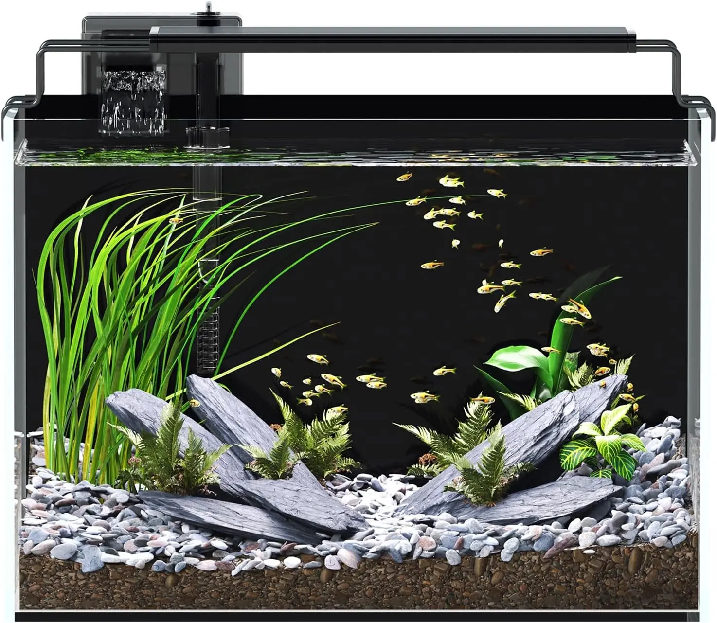 5 Gallon Fish Tank Aquarium Starter Kit with Filter Light Lid Rimless Glass | Black Background, Ultra Clear Low-iron Glass, Timer Light, 5 Brightness, Adjustable Water Flow, for Betta Shrimp Guppy Snails