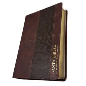 Reina-Valera 1960 Bible Imitation Leather Super Giant 19pt Font with Clear Typography, 12 Full-Color Maps, Reading Plan, 32 Pages with Key Verse Cross-References