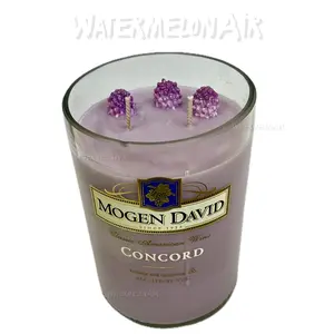 Concord Grape Berry Bottle Candle - Scented Fragrance for Decor & Gifts with Wick