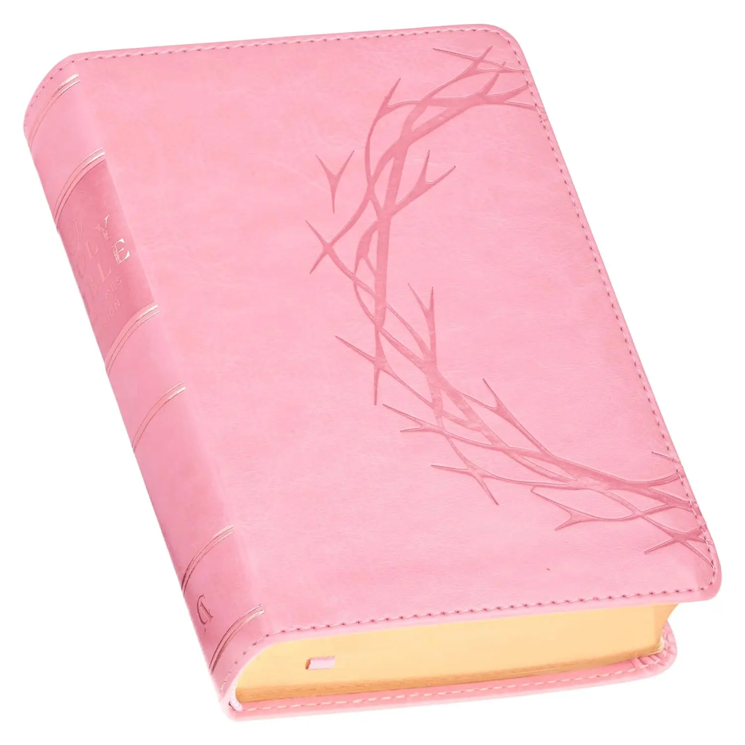 KJV Holy Bible, Compact Large Print Vegan Leather Red Letter Edition - Ribbon Marker, King James Version, Pink