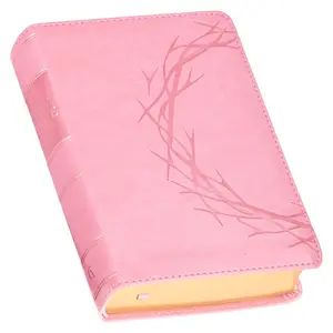 KJV Holy Bible, Compact Large Print Vegan Leather Red Letter Edition - Ribbon Marker, King James Version, Pink
