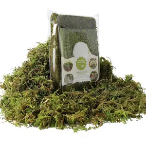 Green Moss for Potted , 4OZ Artificial Moss for DIY Crafts, Faux Moss for Table Centerpieces Fairy Garden Decor ( Green 140gr)