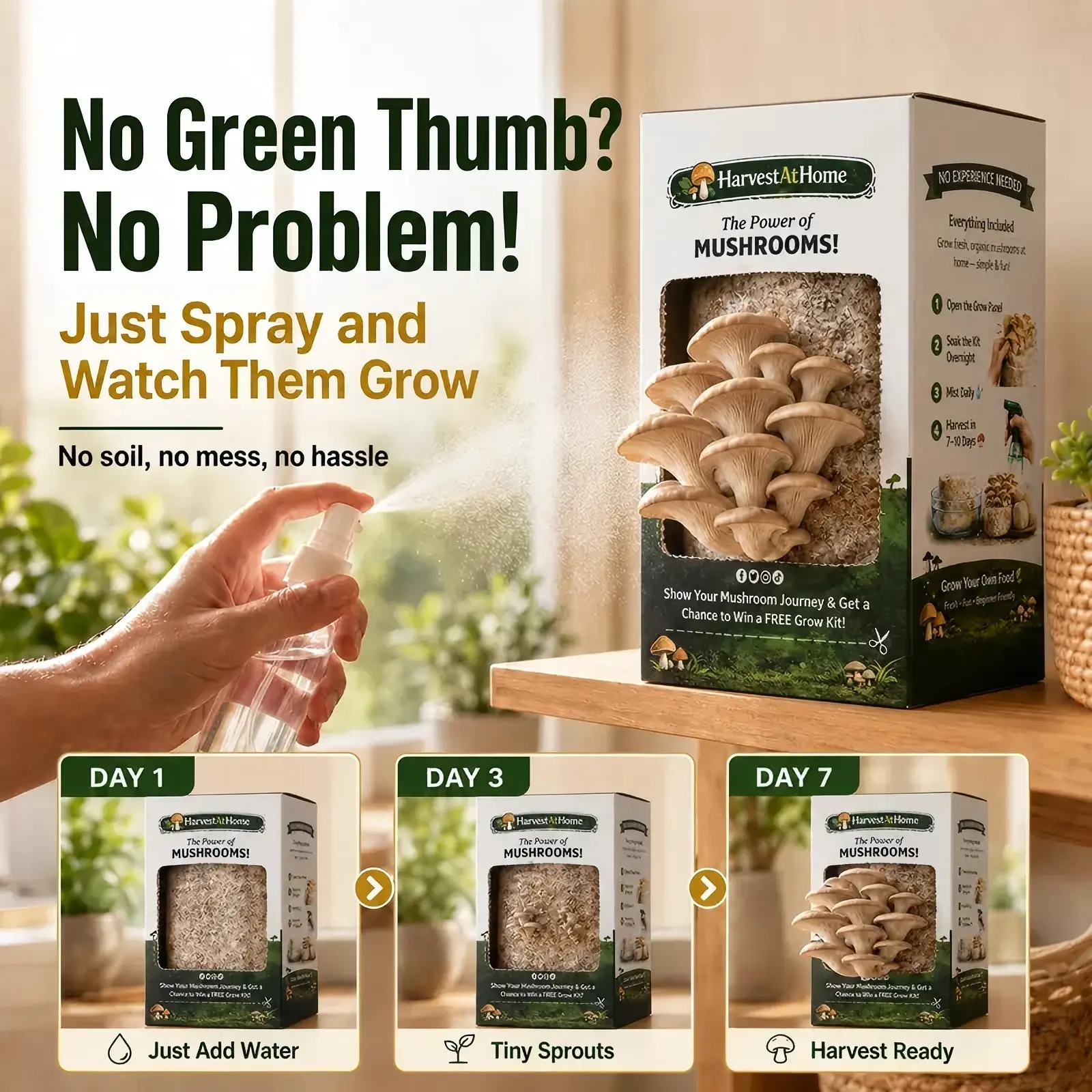 Organic Non-GMO Oyster Mushroom Grow Kit (3.5 lb) – Gourmet All Natural Mushroom Food, 1-7 Days Harvest, Easy Indoor Growth, No Soil/Sun Needed, Multiple Harvests, Made in USA, Ideal for Home Gardeners & Kitchen Enthusiasts