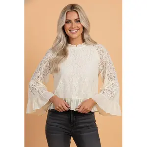 Sheer Lace Ruffle Trim Long Sleeve Blouse