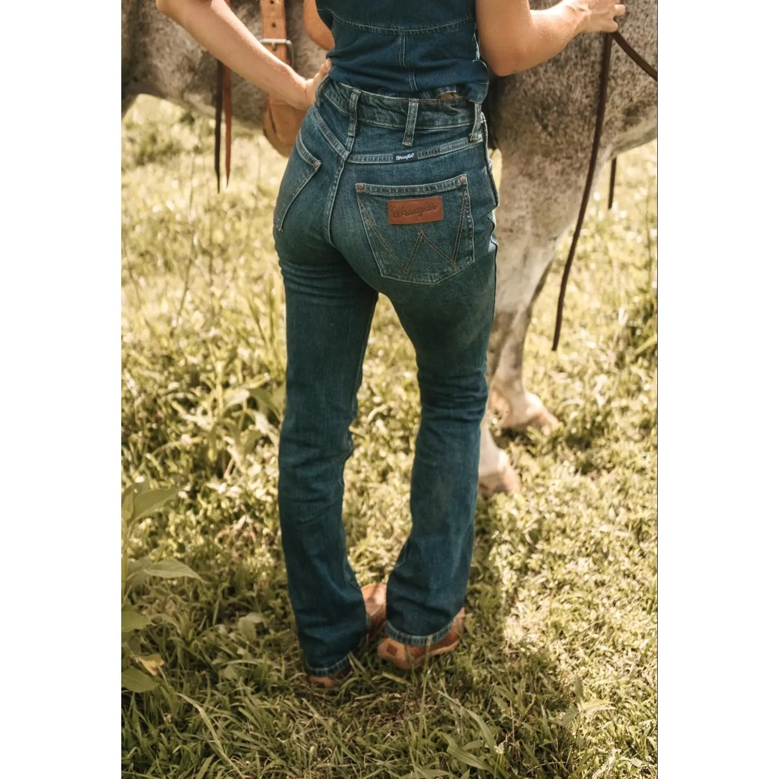 Wrangler Autumn Festival Bootcut, Cotton, Fabric, Bottoms, Denim