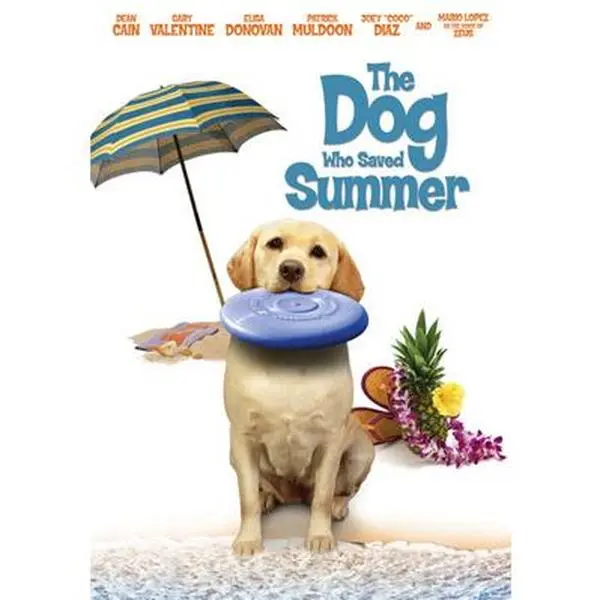 USED-The Dog Who Saved Summer (DVD)